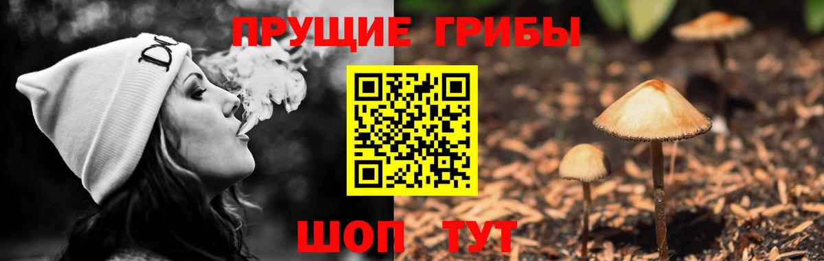 Псилоцибиновые грибы GOLDEN TEACHER  Вход с VPN  Новый Уренгой 